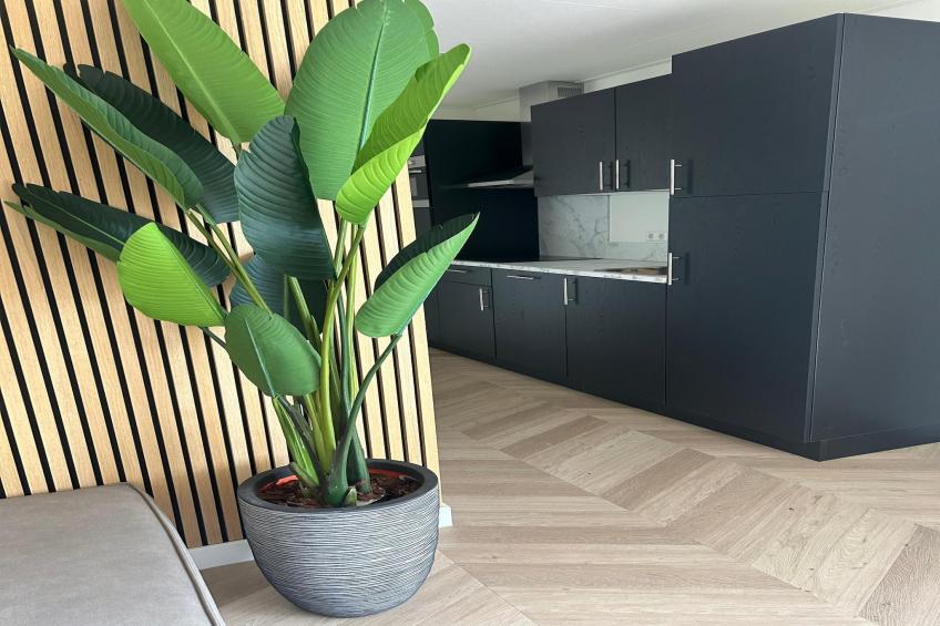 De Steppe 12 pax - 2 - foto 4