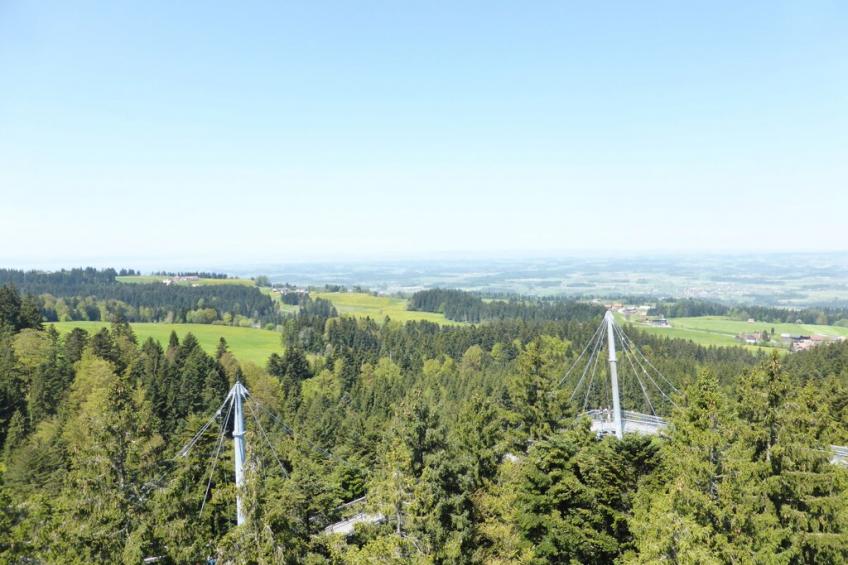 140041 - foto 29