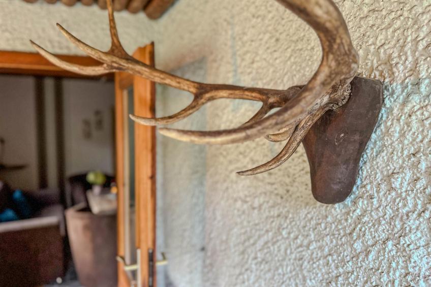 Knusperhäuschen - foto 8