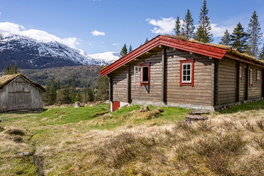 Fjellbris (FJS106) - foto 7