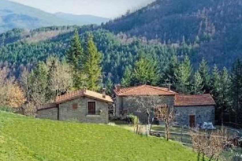 Appartement mit Grill, gemeinsamem Pool und Garten - foto 4