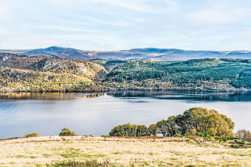 Wester Bunloit - foto 5