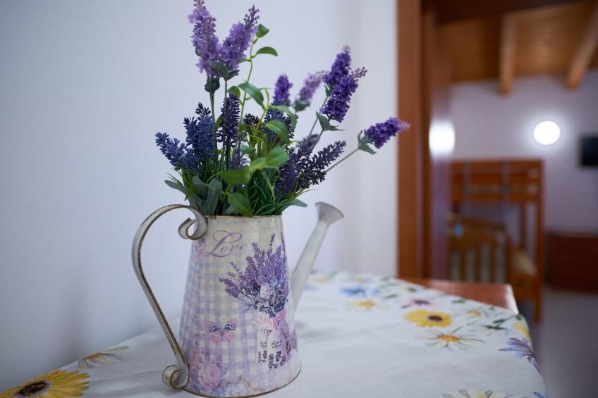 La casa del vino - foto 25