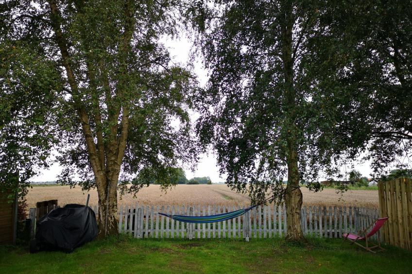 Huus ant Koornfeld - foto 13