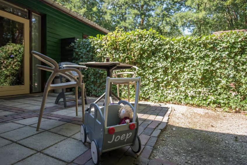 De Rode Ibis - foto 14