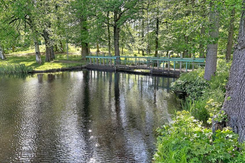 Villa Fröseke - foto 27