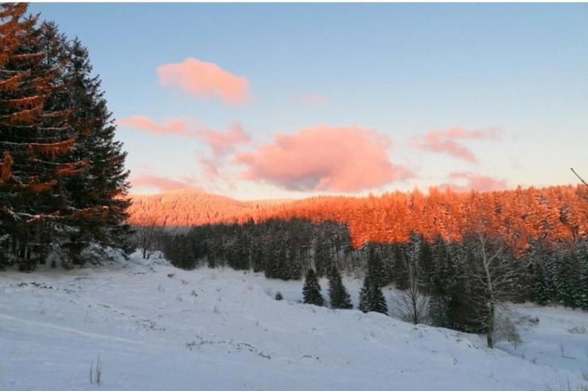 Ferienhaus Anna - foto 33