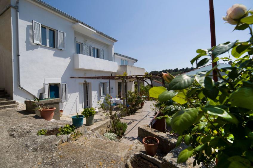 "Dororeja" - foto 45