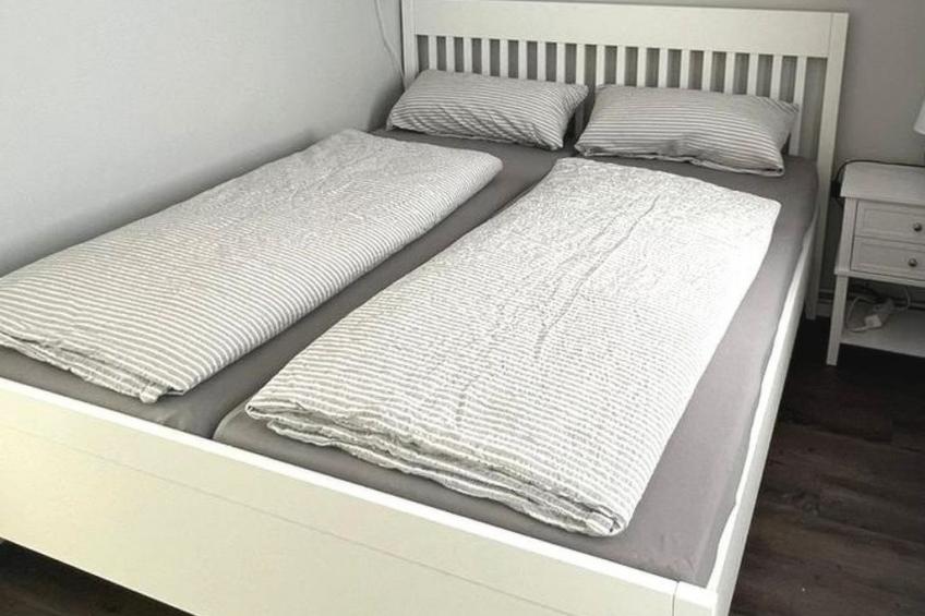 Boddenferienhaus - 13 Treibholz - foto 7