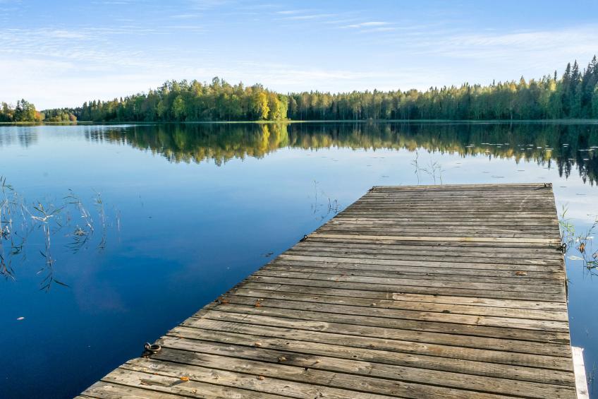 Niemenkärki, vaikon loma ja lohi - foto 28