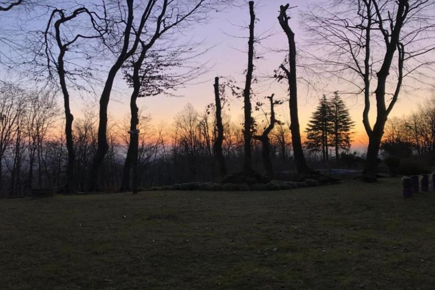 Villa Carpaneto - foto 28