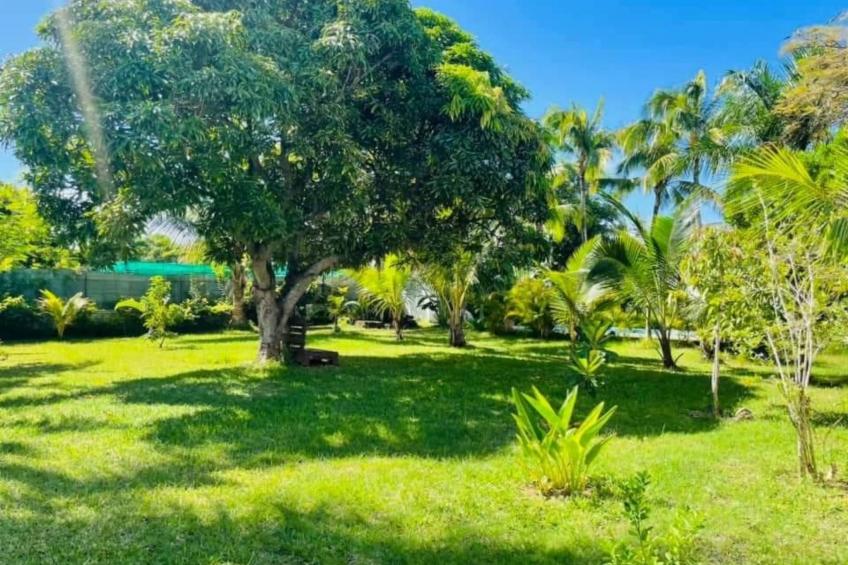 in Roches Noires mit Großem Garten - foto 21