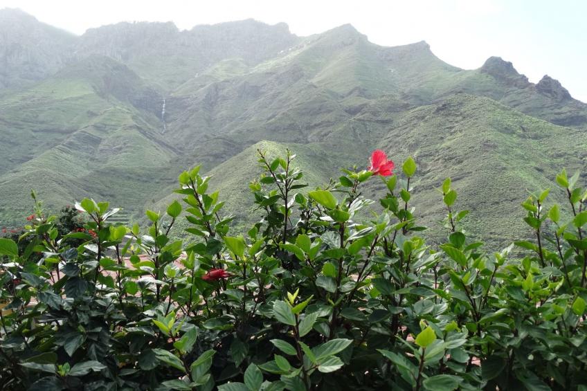 Haus mit beheiztem Schwimmbad, Berg- und Meerblick - foto 16