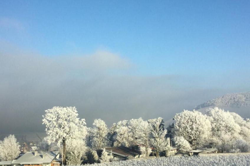 Traumwohnung - foto 45