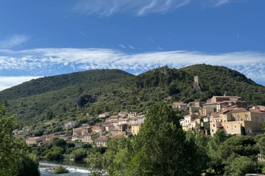 La Rocaille - foto 22