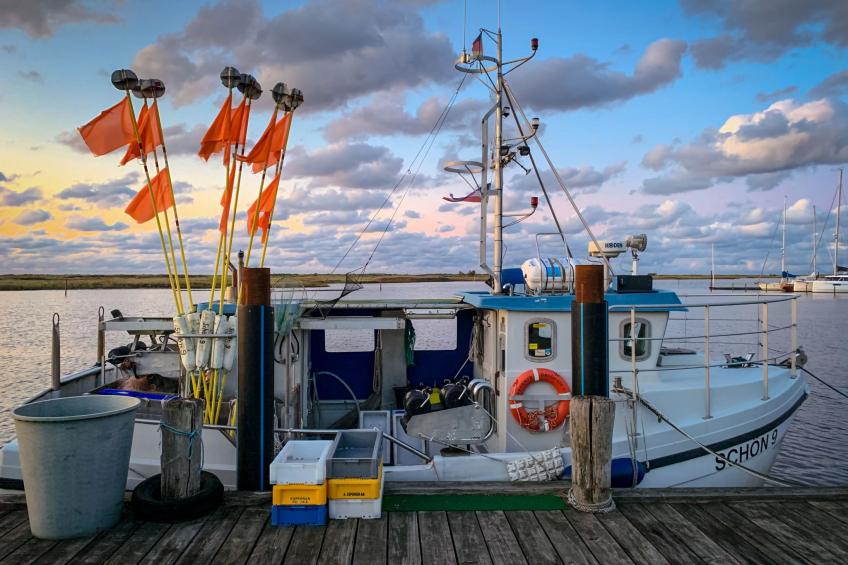 in Lutterbek mit Kleinem Garten - foto 23