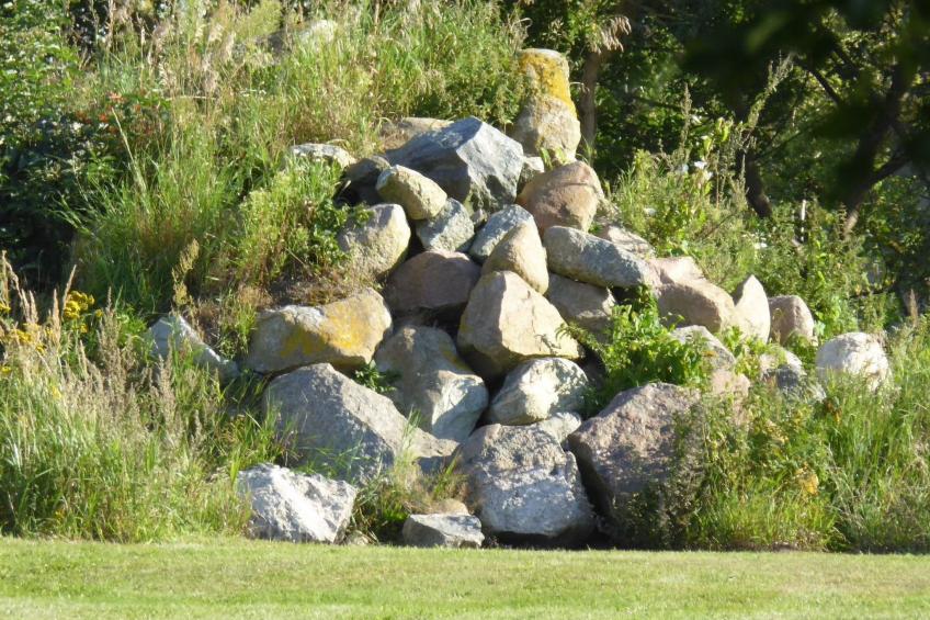 Galerie Mitte - foto 26