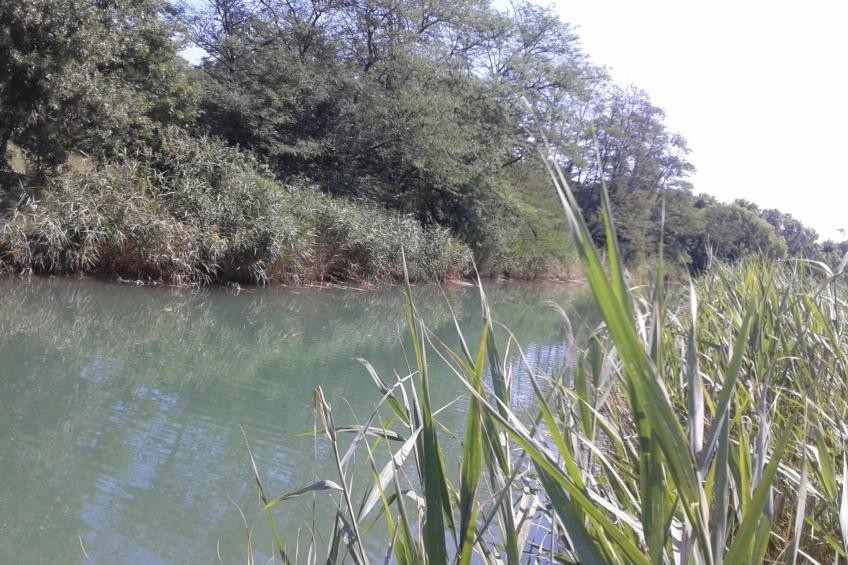 Am Fluss gelegenes Haus mit Galerieschlafplätzen - foto 22