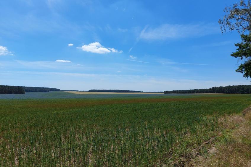 Alte Schmiede - foto 14