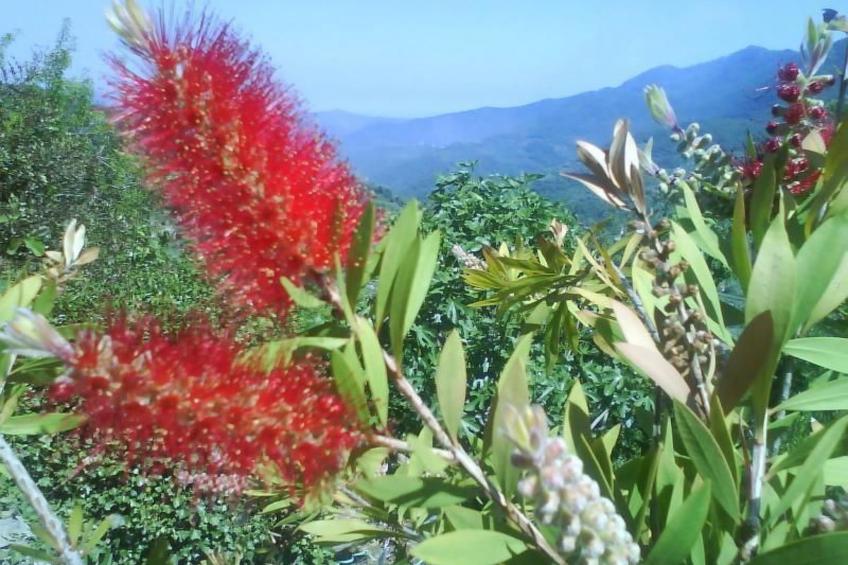 Schönes Ferienhaus mit Garten und Whirlpool - foto 14