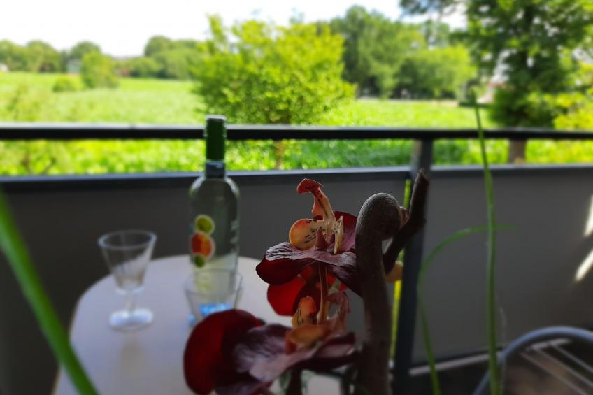 FeWo mit Ausblick - foto 4