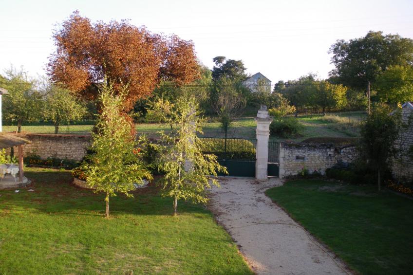 Die Linden - foto 11