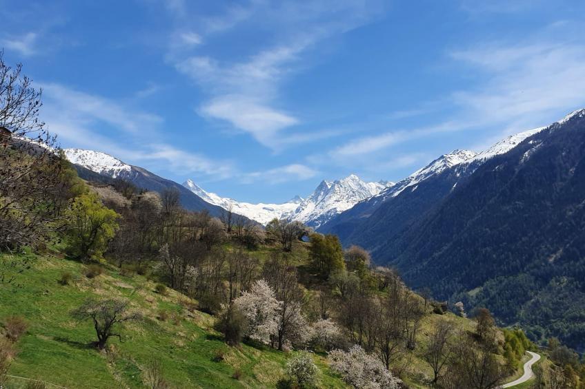 Typische Wohnung Le Ver Luisant. Val d'Hérens - foto 16