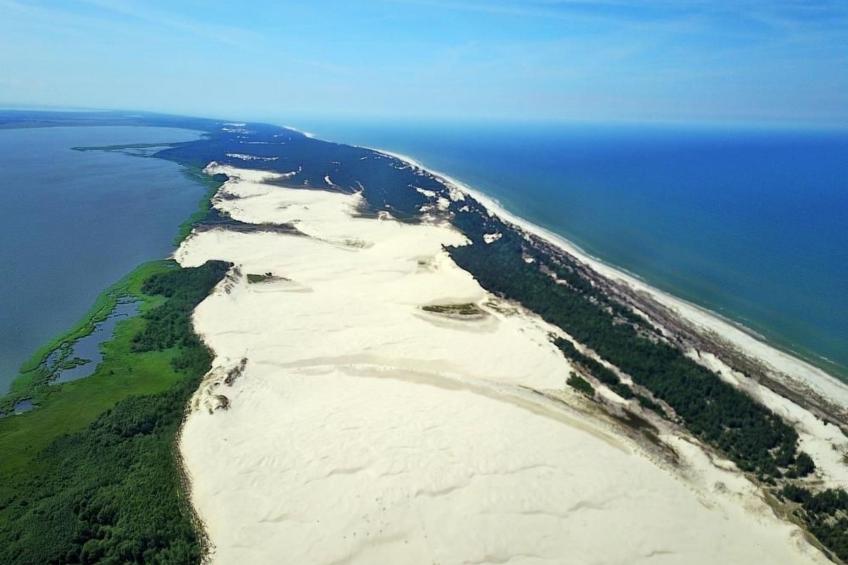 in Żarnowska mit Grill und Garten - foto 9