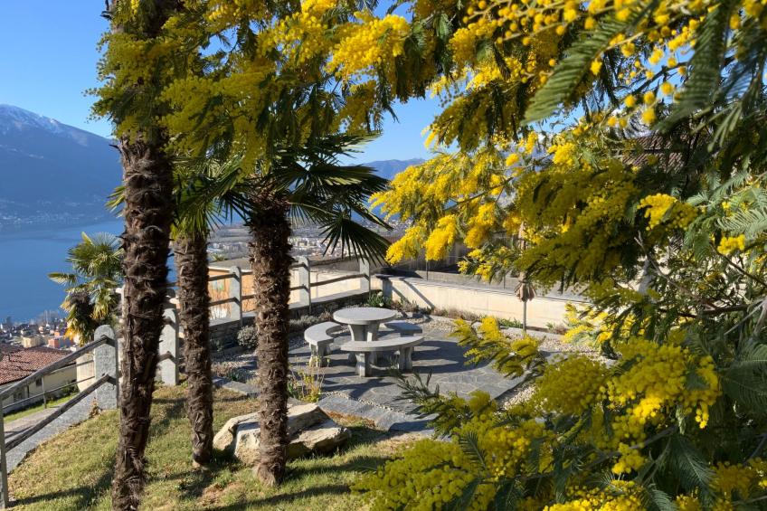 Casa Vecchia II - foto 21