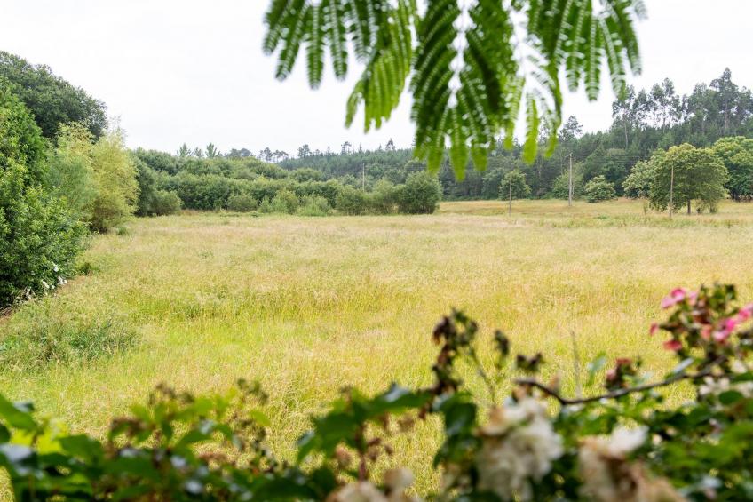 Villa "Casa dos Pazos" mit privatem Pool - foto 45