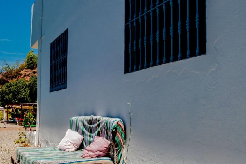 Seeadlerhorst - foto 29