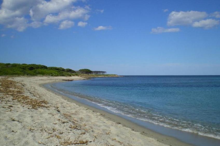 Modernes Ferien-Landhaus - foto 13