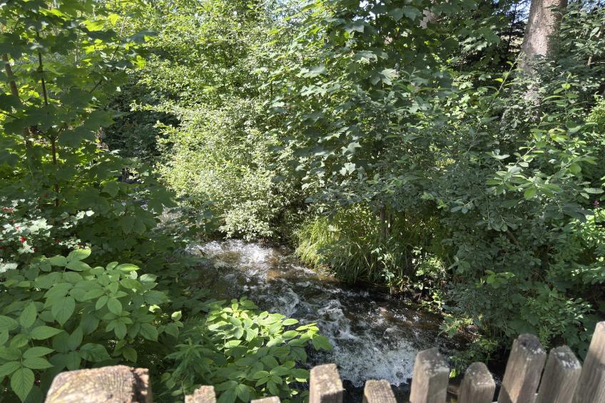 vakantiehuis, Buntenbock - foto 41