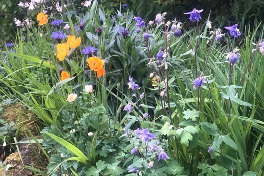 Idyllisches Landhaus mit wunderschönem Garten - foto 23