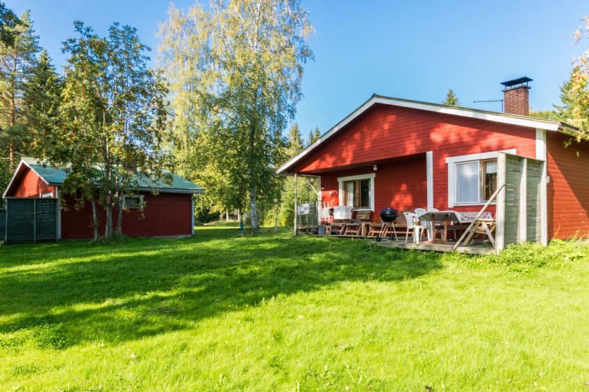 Saniainen - foto 4