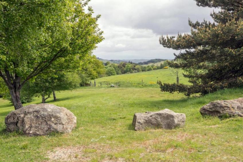 Goutte-Claire - foto 32