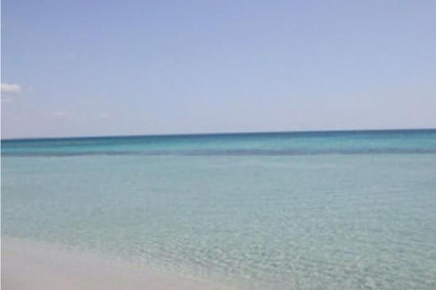 Wohnung 'Villetta Oleandro - foto 22