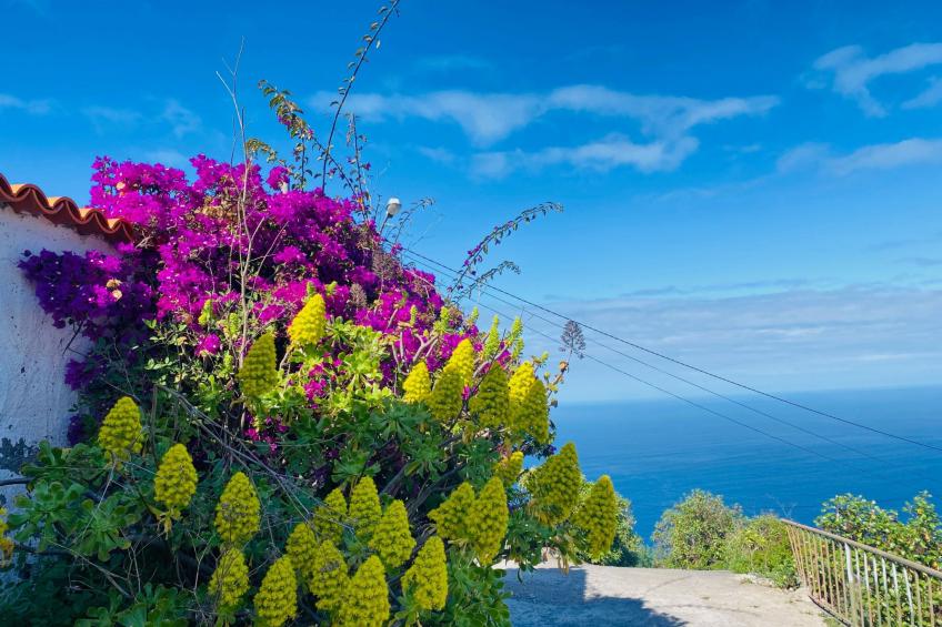 Finca Ventana al Mar - foto 19