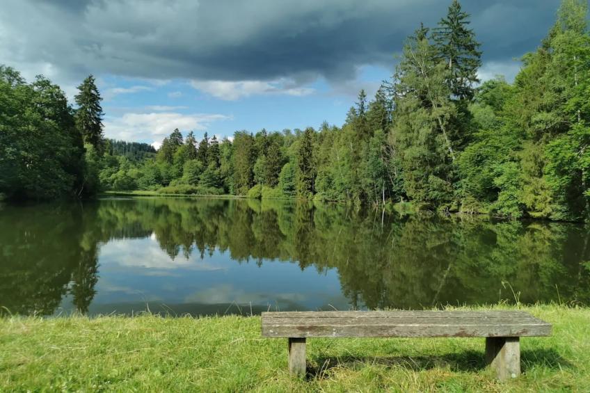 Vakantiehuis, Wieda - foto 38