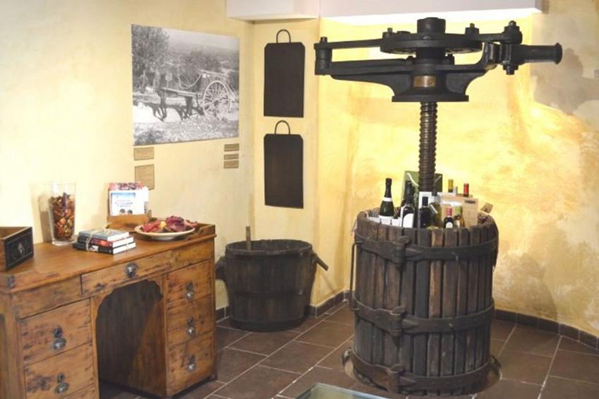 Els Cups, casa rural - foto 24