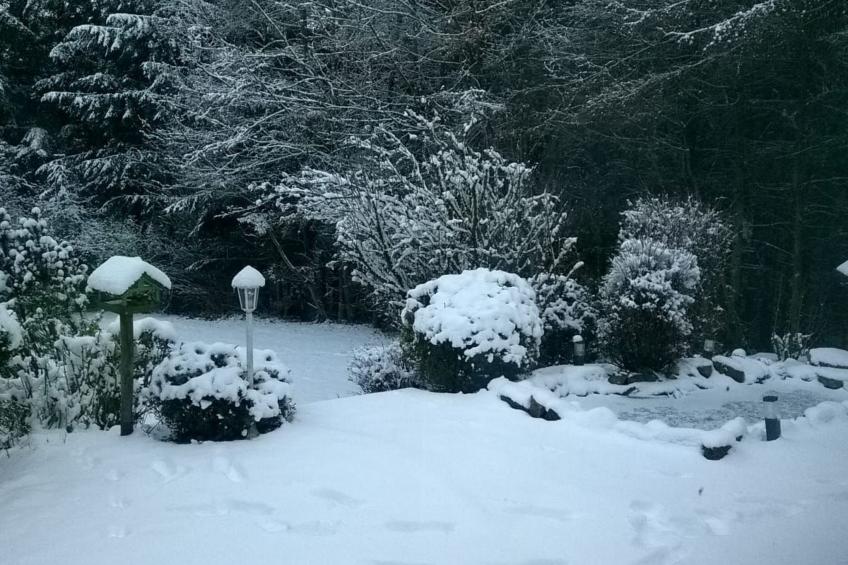 in Im Trieschelbach mit Großem Garten - foto 27