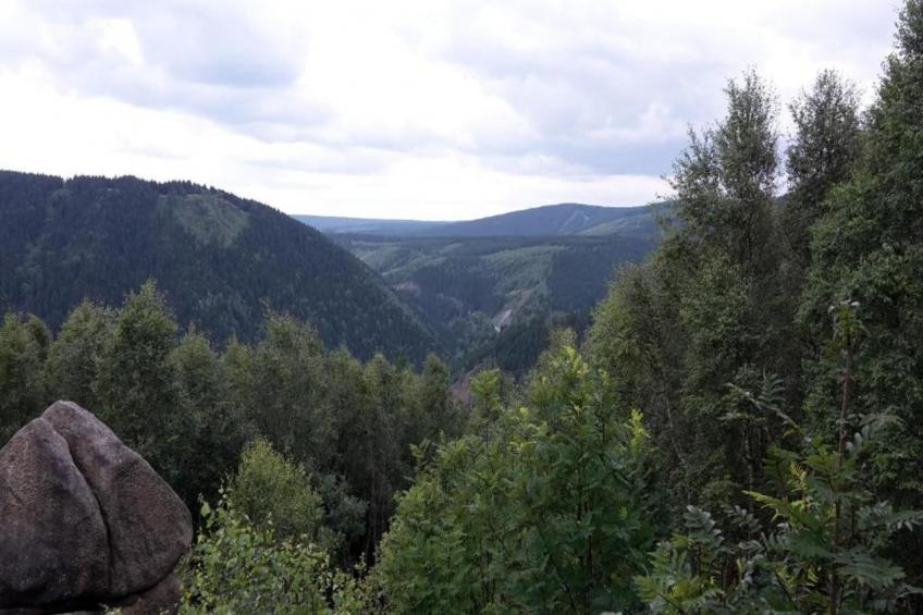 Hahnenklee 612 - Bergblick - foto 39