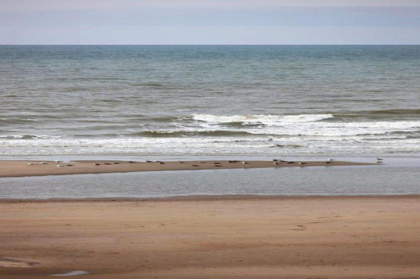 Residentie Shamrock Bianca - foto 26