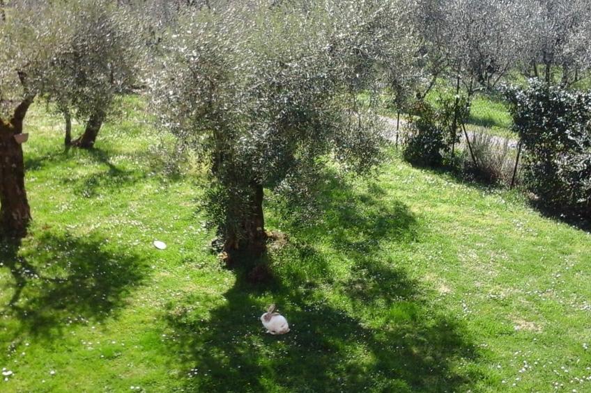 Die Scheune von Penelope - foto 16