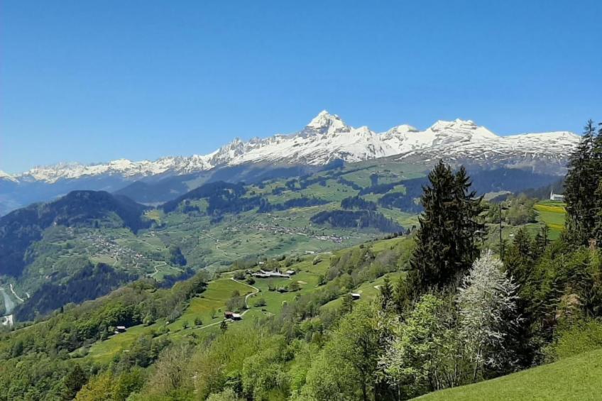 Wintersport Flims/Laax, Obersaxen, Brigels - foto 21