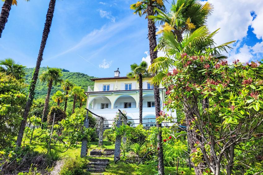 Vernice Gialla - foto 29