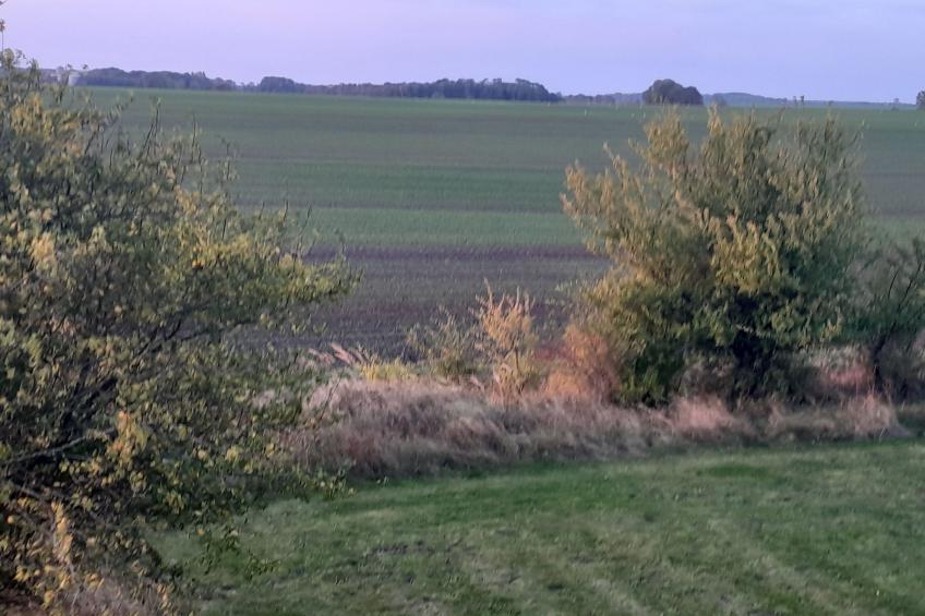 Seeschwalbe - foto 22