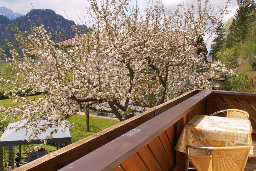 "Morgenrot" - foto 9