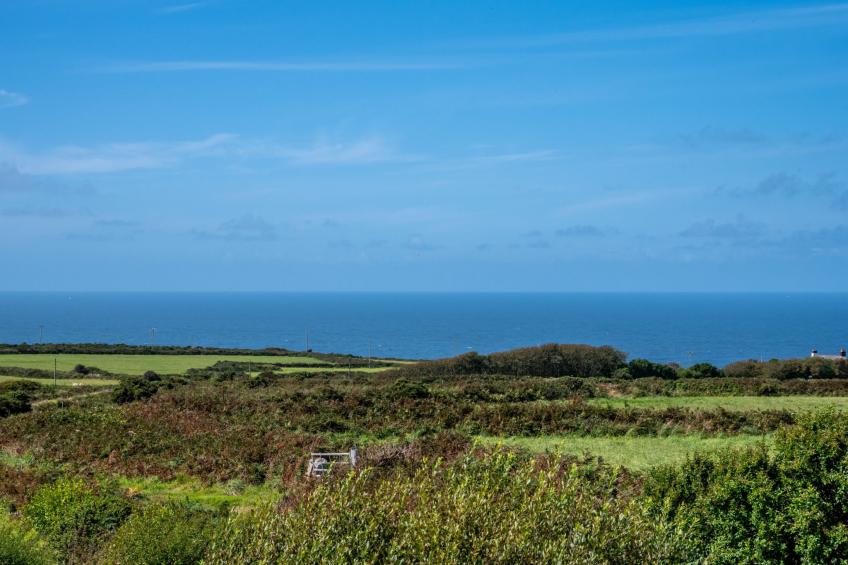 Western Watch - foto 16