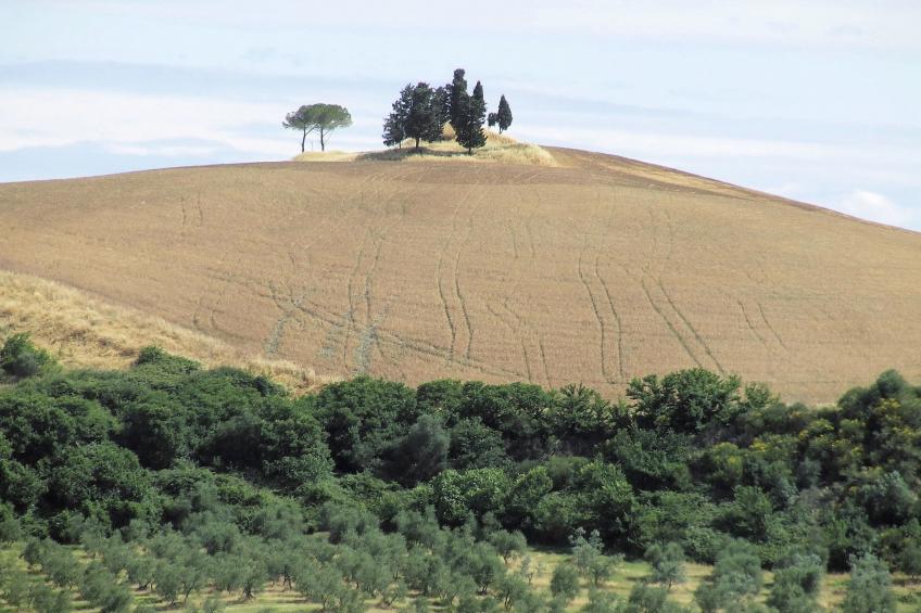 Casa Francesca 1 - foto 33